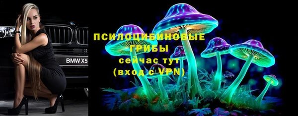 гидропоника Верея