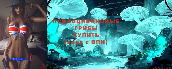 гидропоника Верея